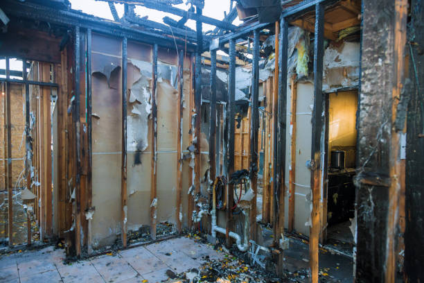 Professional Fire Damage Removal technician working in Warminster, PA